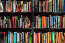 A bookshelf filled with books representing academic achievement and school results at Princefield First School.